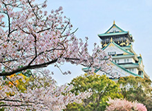 PG电子app下载-亚冠外援单场4人维持不变 但“亚外”名额将取消？